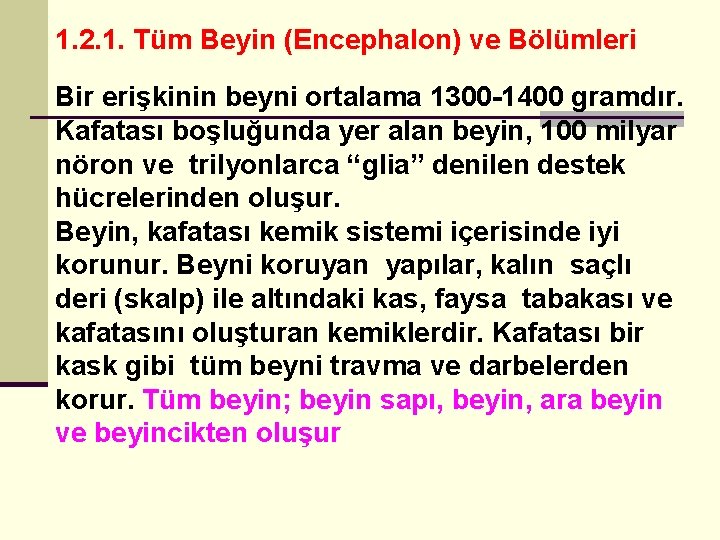 1. 2. 1. Tüm Beyin (Encephalon) ve Bölümleri Bir erişkinin beyni ortalama 1300 -1400