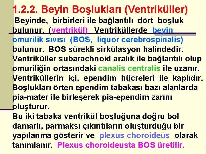 1. 2. 2. Beyin Boşlukları (Ventriküller) Beyinde, birbirleri ile bağlantılı dört boşluk bulunur. (ventrikül)