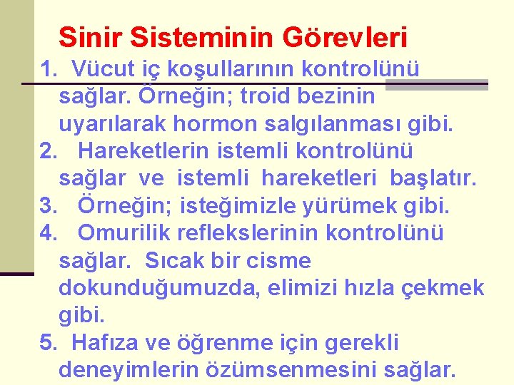 Sinir Sisteminin Görevleri 1. Vücut iç koşullarının kontrolünü sağlar. Örneğin; troid bezinin uyarılarak hormon