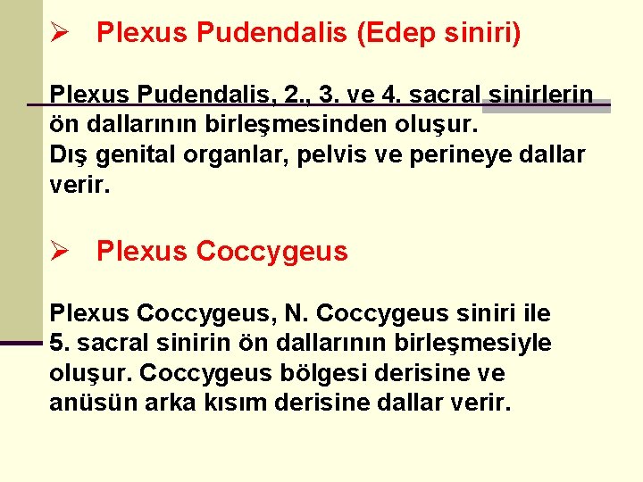 Ø Plexus Pudendalis (Edep siniri) Plexus Pudendalis, 2. , 3. ve 4. sacral sinirlerin