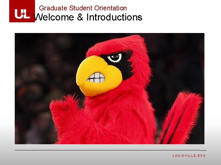 Graduate Student Orientation Welcome & Introductions LOUISVILLE. EDU 