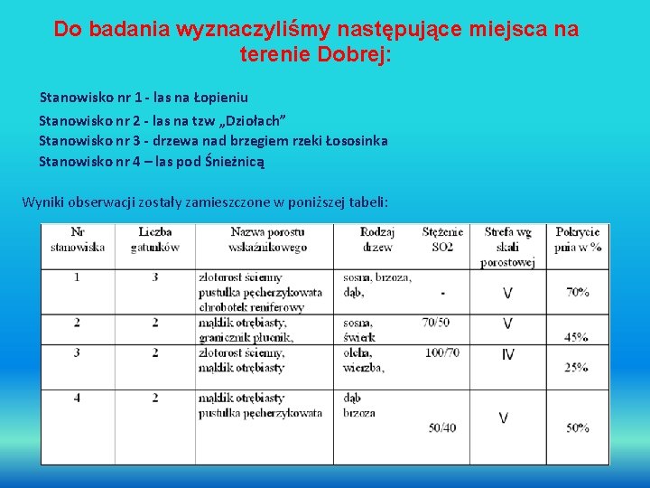 Do badania wyznaczyliśmy następujące miejsca na terenie Dobrej: Stanowisko nr 1 - las na