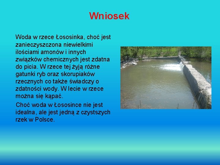 Wniosek Woda w rzece Łososinka, choć jest zanieczyszczona niewielkimi ilościami amonów i innych związków