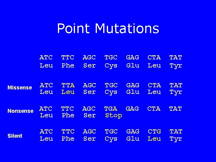 Point Mutations ATC Leu TTC Phe AGC Ser TGC Cys GAG Glu CTA Leu