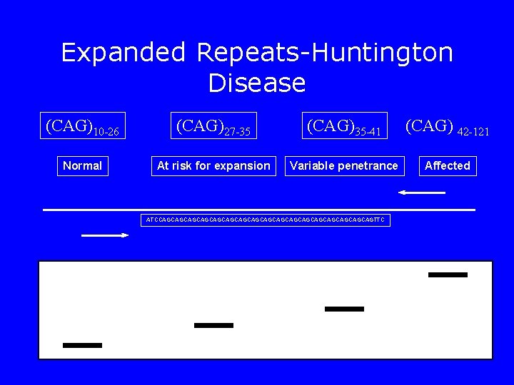 Expanded Repeats-Huntington Disease (CAG)10 -26 (CAG)27 -35 (CAG)35 -41 (CAG) 42 -121 Normal At