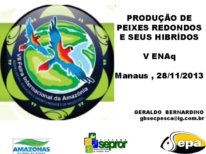 . PRODUÇÃO DE PEIXES REDONDOS E SEUS HIBRÍDOS V ENAq Manaus , 28/11/2013 GERALDO
