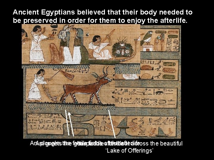 Ancient Egyptians believed that their body needed to be preserved in order for them Ancient Egyptians believed that their body needed to be preserved in order for them