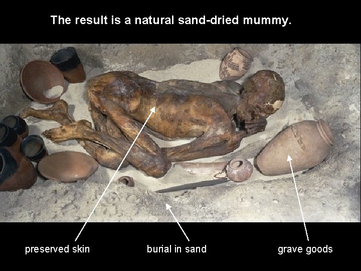 The result is a natural sand-dried mummy. preserved skin burial in sand grave goods The result is a natural sand-dried mummy. preserved skin burial in sand grave goods