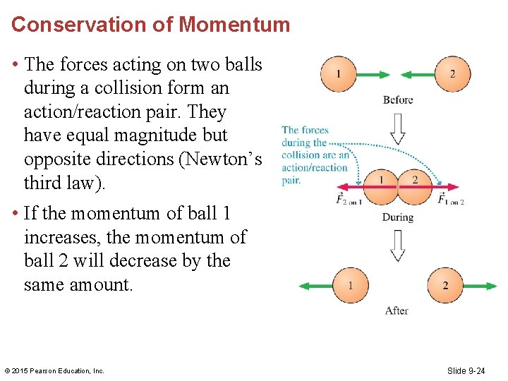 Conservation of Momentum • The forces acting on two balls during a collision form