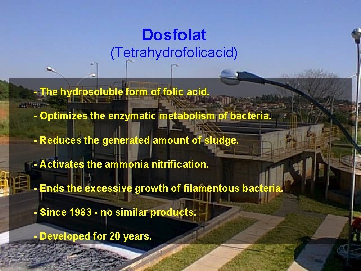 Dosfolat (Tetrahydrofolicacid) - The hydrosoluble form of folic acid. - Optimizes the enzymatic metabolism