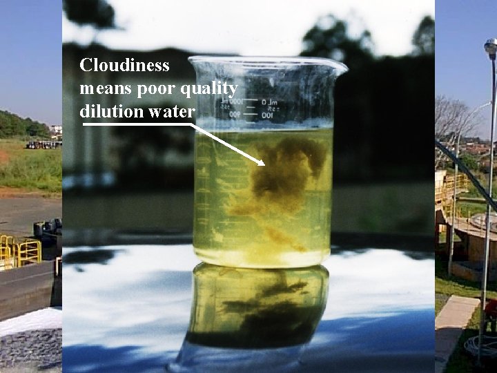 Cloudiness means poor quality dilution water 
