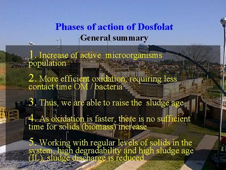 Phases of action of Dosfolat General summary 1. Increase of active population microorganisms 2.