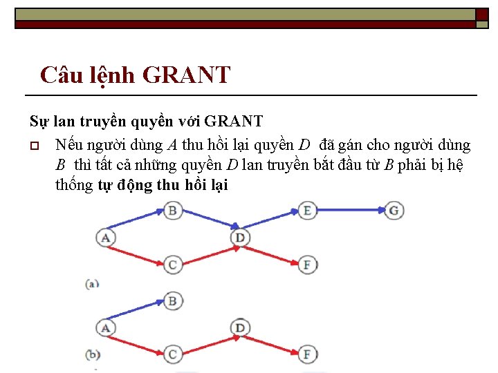 Câu lệnh GRANT Sự lan truyền quyền với GRANT o Nếu người dùng A