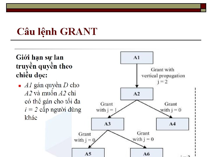 Câu lệnh GRANT 