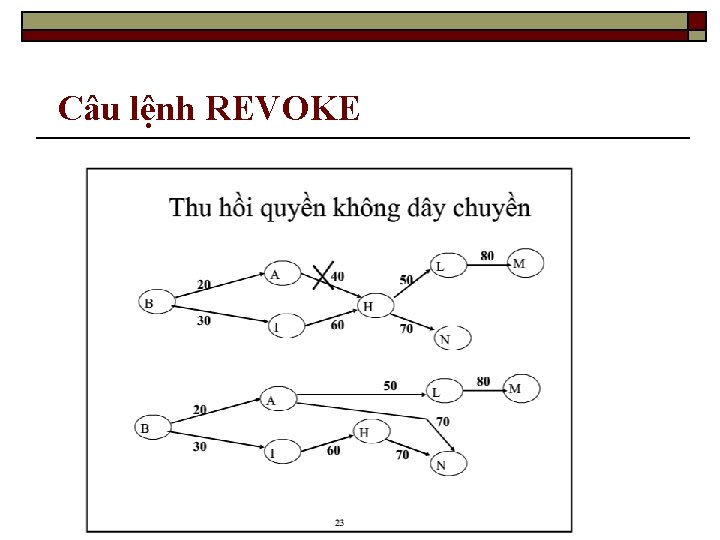 Câu lệnh REVOKE 