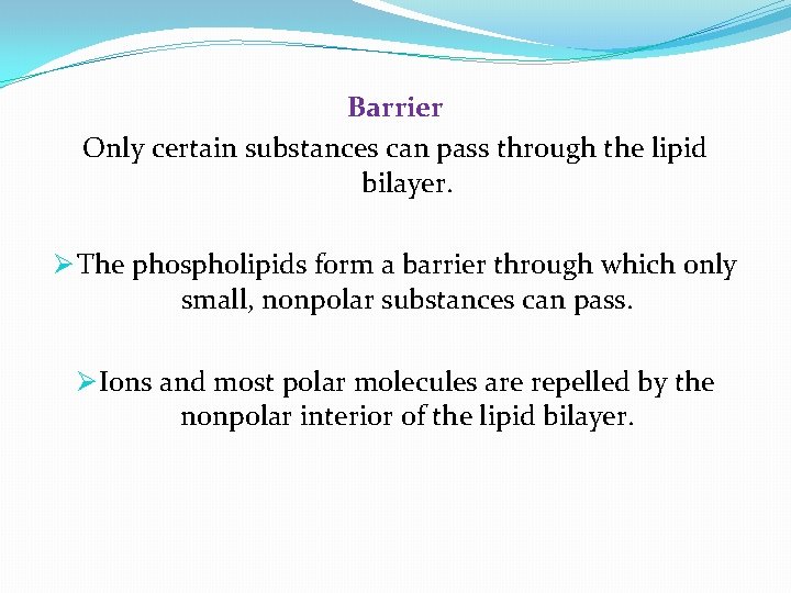 Barrier Only certain substances can pass through the lipid bilayer. Ø The phospholipids form