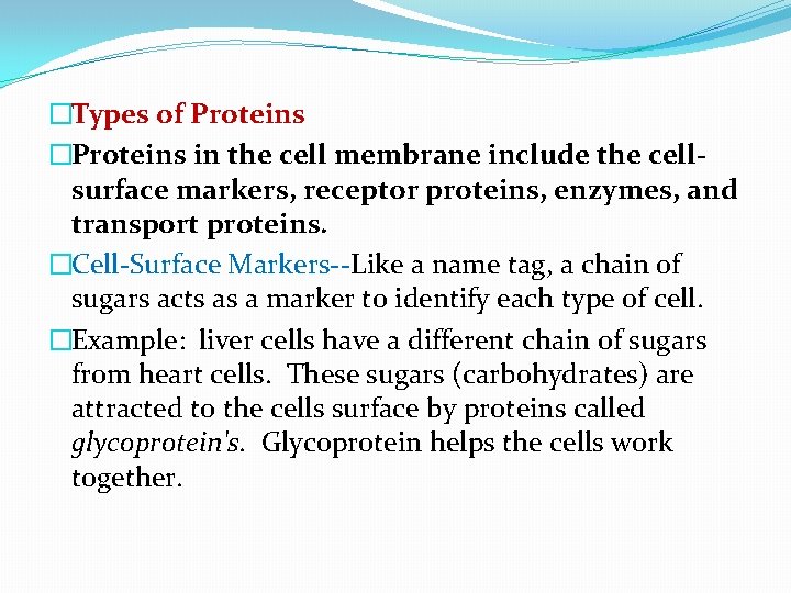 �Types of Proteins �Proteins in the cell membrane include the cellsurface markers, receptor proteins,