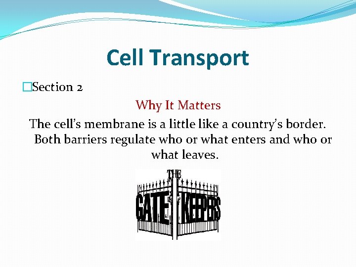 Cell Transport �Section 2 Why It Matters The cell’s membrane is a little like