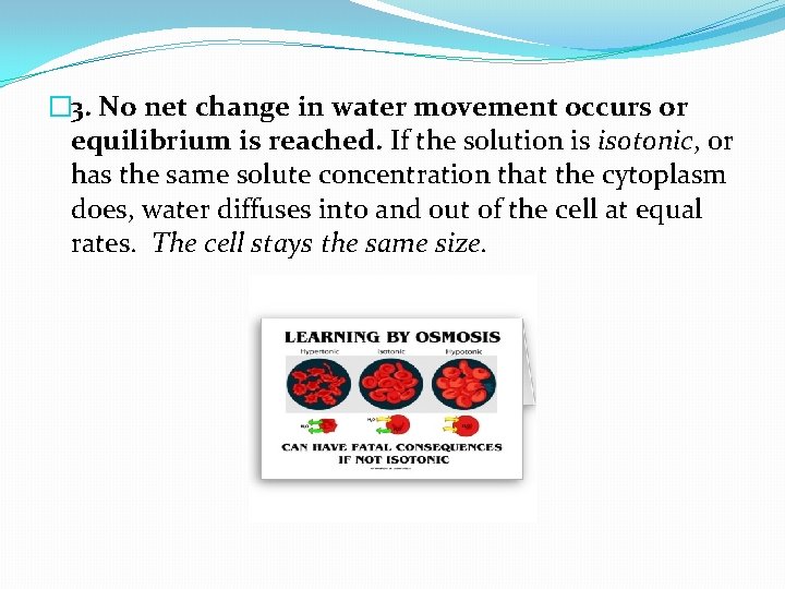� 3. No net change in water movement occurs or equilibrium is reached. If