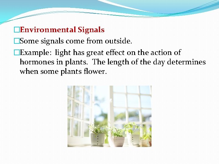 �Environmental Signals �Some signals come from outside. �Example: light has great effect on the