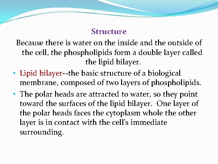 Structure Because there is water on the inside and the outside of the cell,