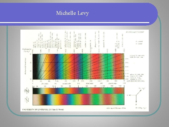 Michelle Levy Michelle Levy