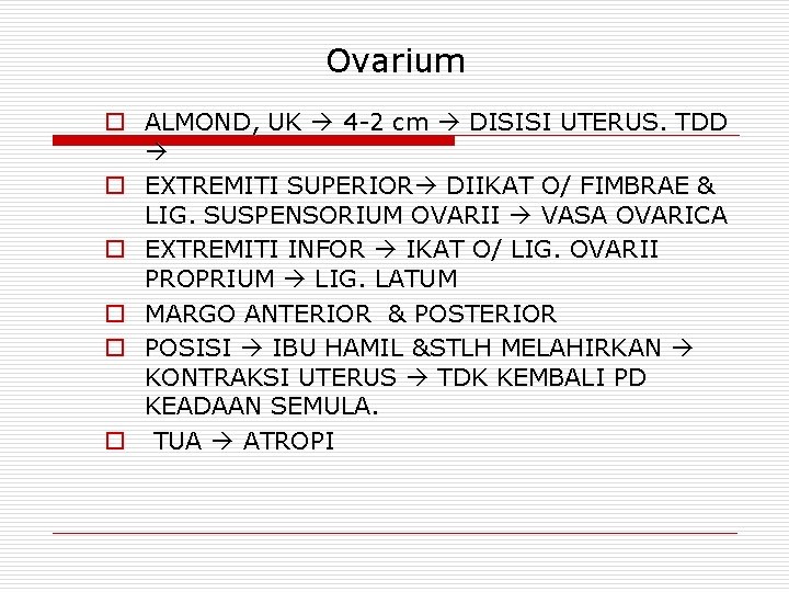 Ovarium o ALMOND, UK 4 -2 cm DISISI UTERUS. TDD o EXTREMITI SUPERIOR DIIKAT