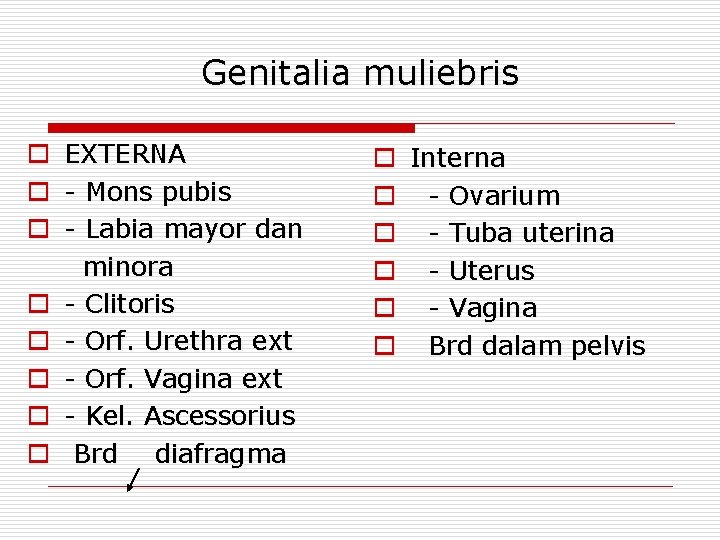 Genitalia muliebris o o o o EXTERNA - Mons pubis - Labia mayor dan