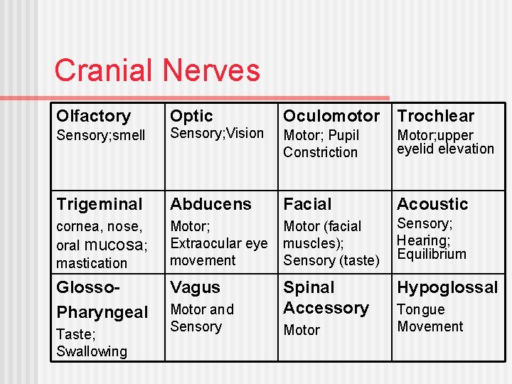 Cranial Nerves Olfactory Optic Sensory; smell Sensory; Vision Trigeminal Oculomotor Trochlear Motor; Pupil Constriction