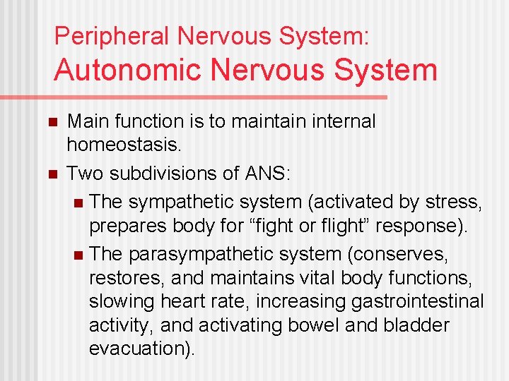 Peripheral Nervous System: Autonomic Nervous System n n Main function is to maintain internal