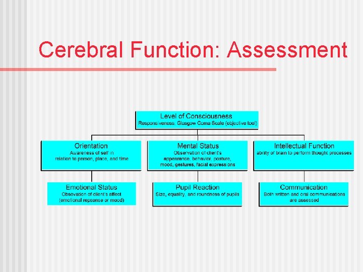 Cerebral Function: Assessment 