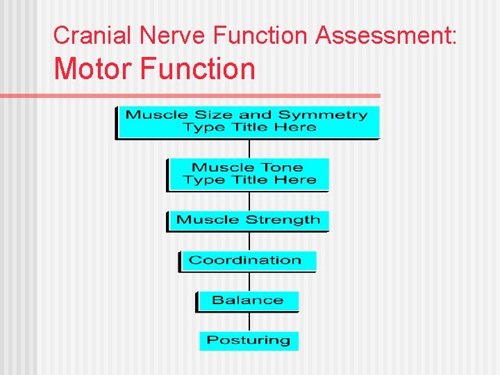 Cranial Nerve Function Assessment: Motor Function 