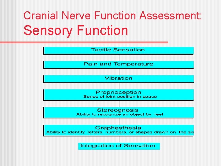 Cranial Nerve Function Assessment: Sensory Function 