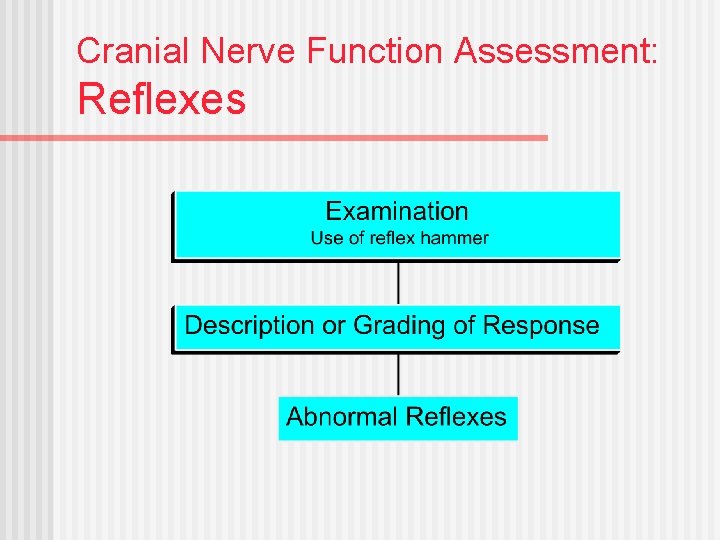 Cranial Nerve Function Assessment: Reflexes 