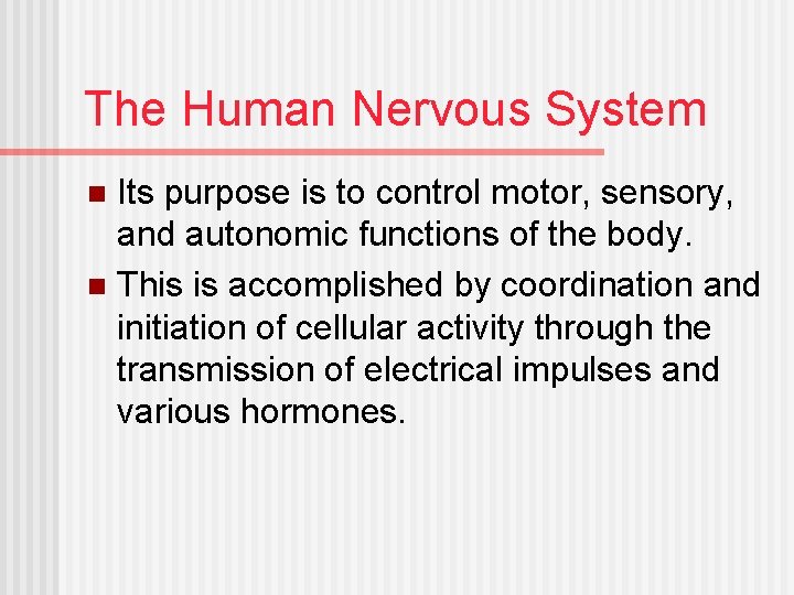 The Human Nervous System Its purpose is to control motor, sensory, and autonomic functions