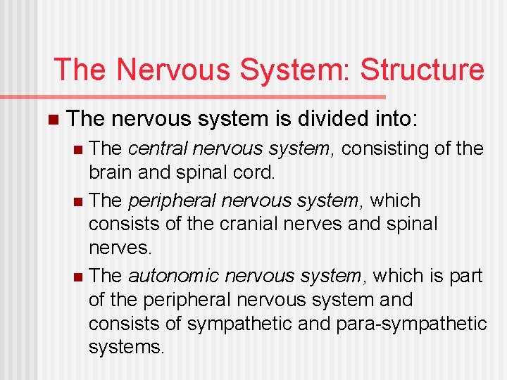 The Nervous System: Structure n The nervous system is divided into: The central nervous