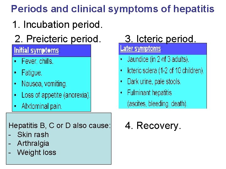 Periods and clinical symptoms of hepatitis 1. Incubation period. 2. Preicteric period. Hepatitis B,