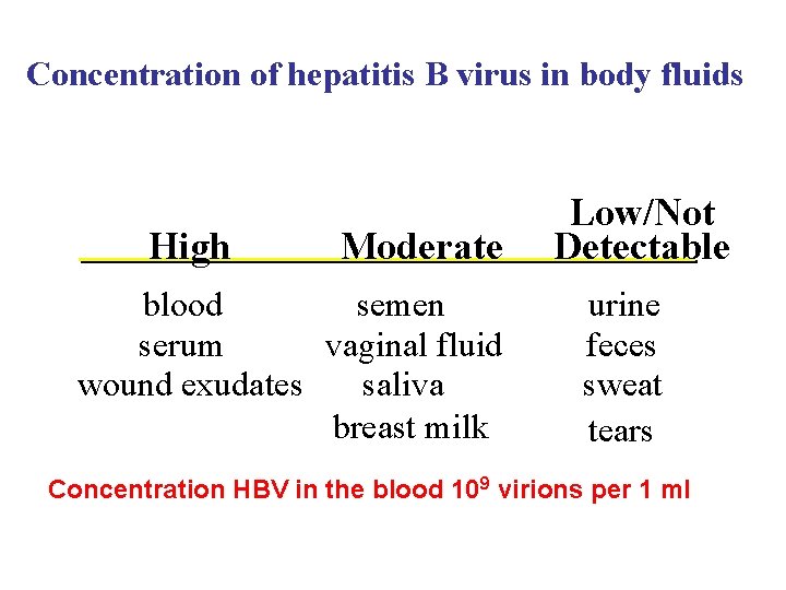 Concentration of hepatitis B virus in body fluids High Moderate blood semen serum vaginal