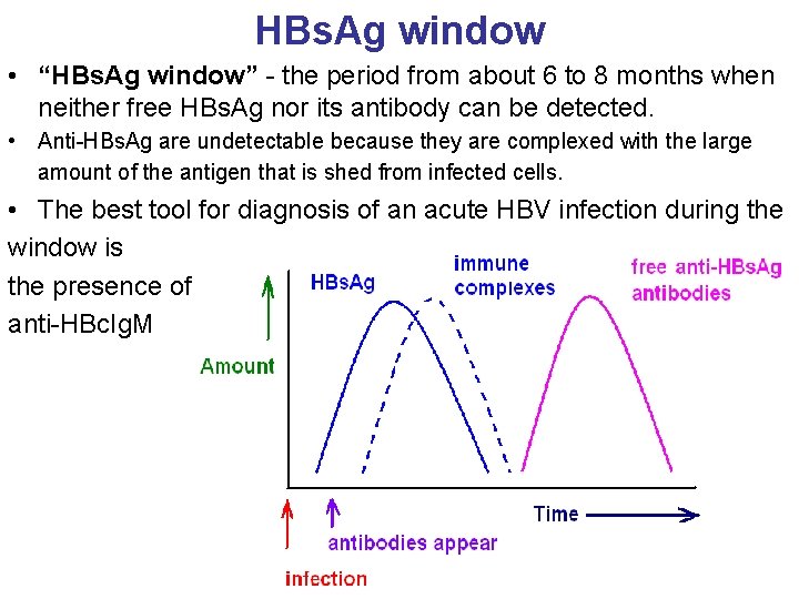 HBs. Ag window • “HBs. Ag window” - the period from about 6 to