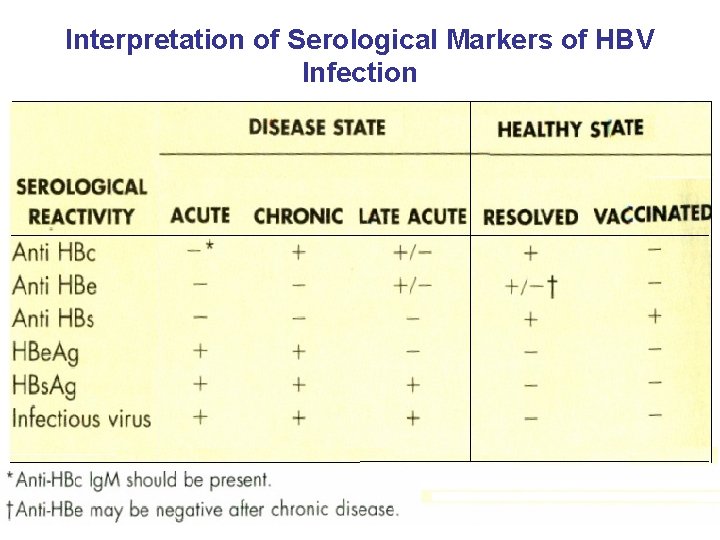 Interpretation of Serological Markers of HBV Infection 