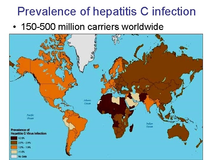 Prevalence of hepatitis C infection • 150 -500 million carriers worldwide 