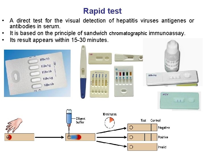 Rapid test • A direct test for the visual detection of hepatitis viruses antigenes