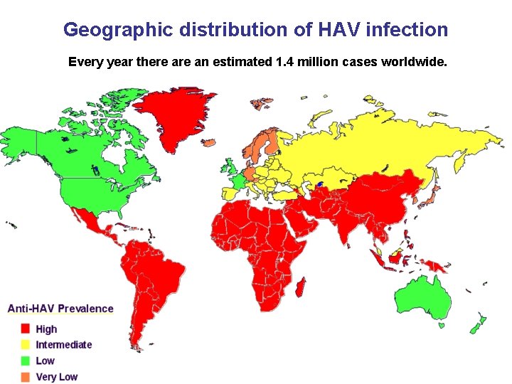 Geographic distribution of HAV infection Every year there an estimated 1. 4 million cases