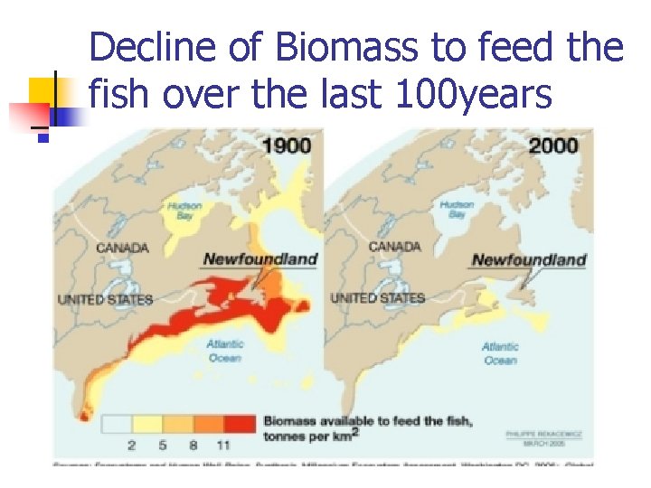 Decline of Biomass to feed the fish over the last 100 years 