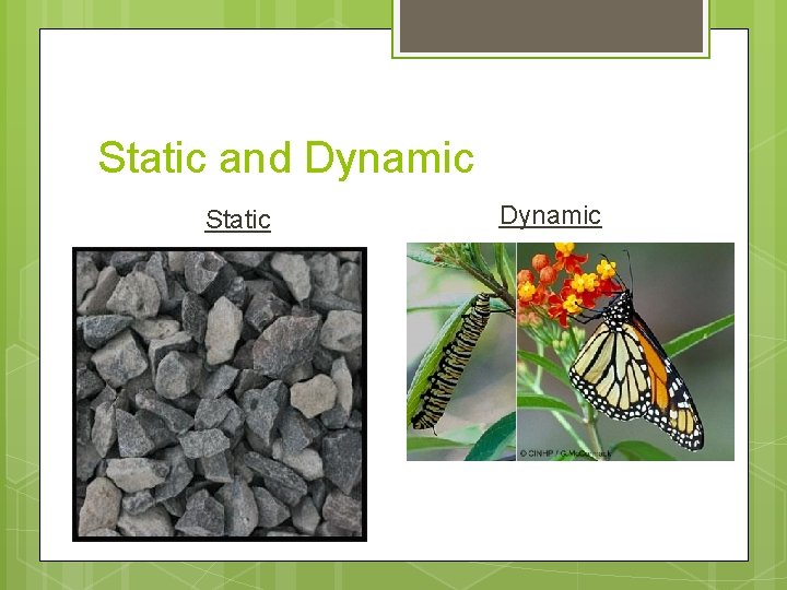 Static and Dynamic Static Dynamic 