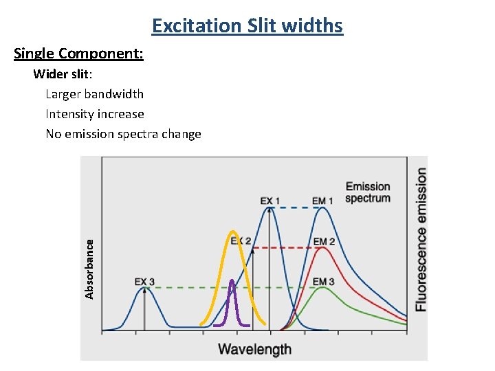 Excitation Slit widths Single Component: Absorbance Wider slit: Larger bandwidth Intensity increase No emission