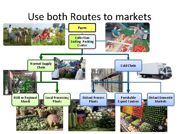 Use both Routes to markets Farm Collection Sorting Packing Centre Normal Supply Chain HUB