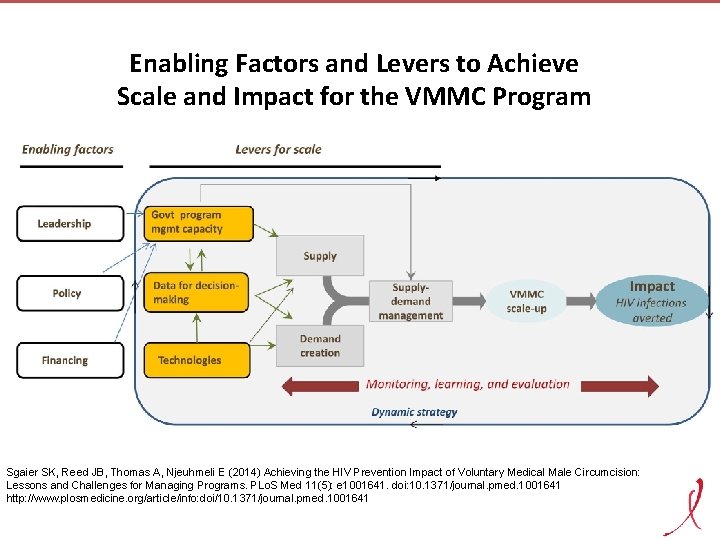 Enabling Factors and Levers to Achieve Scale and Impact for the VMMC Program Sgaier