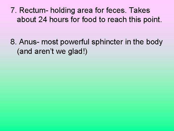 7. Rectum- holding area for feces. Takes about 24 hours for food to reach