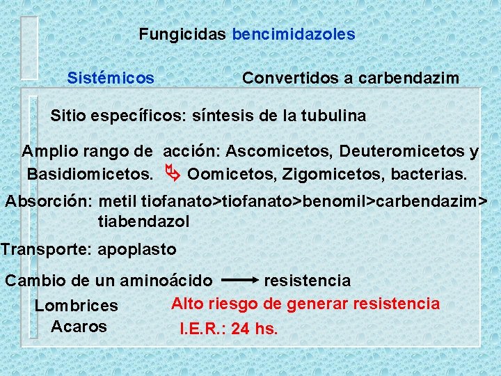 Fungicidas bencimidazoles Sistémicos Convertidos a carbendazim Sitio específicos: síntesis de la tubulina Amplio rango